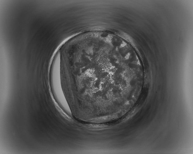 X0000085270795200703301853