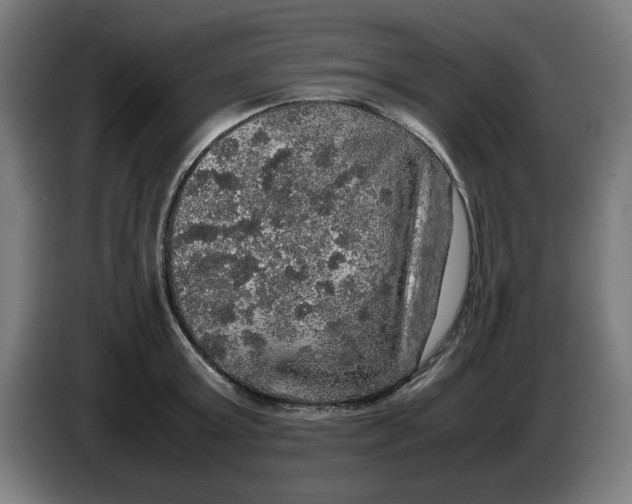 X0000085270803200703301853