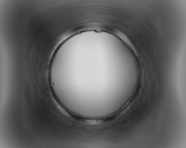 X0000085270805200703301853