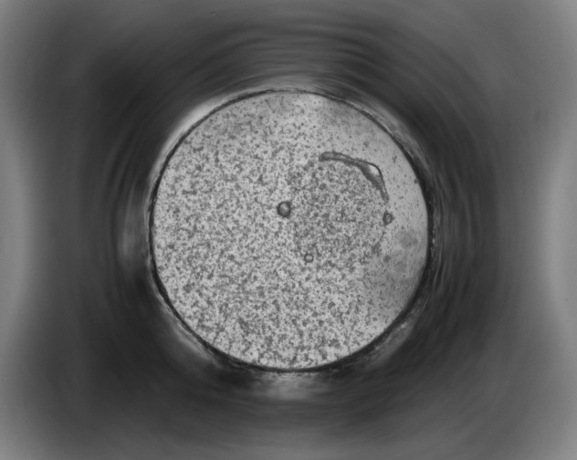 X0000085270808200703301853