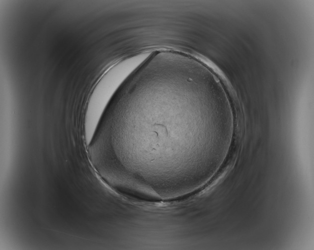 X0000085270809200703301853