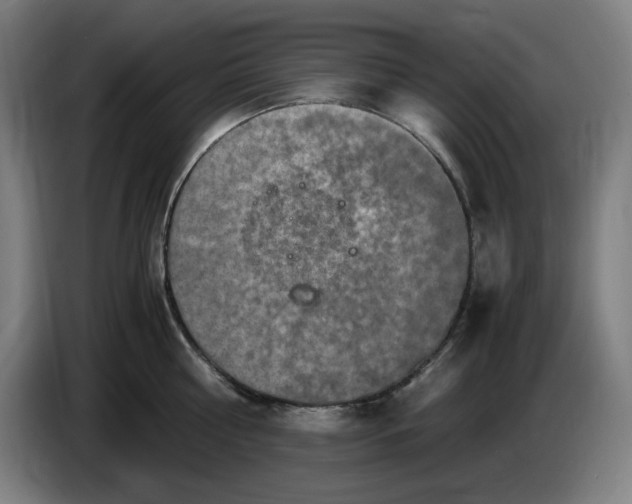 X0000085270810200703301853