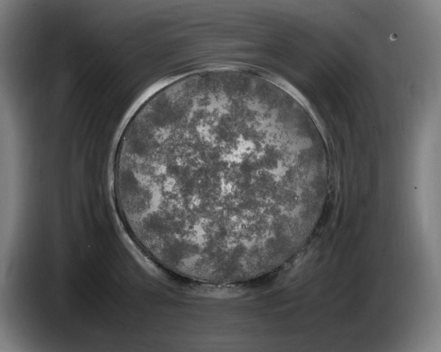 X0000085270811200703301853