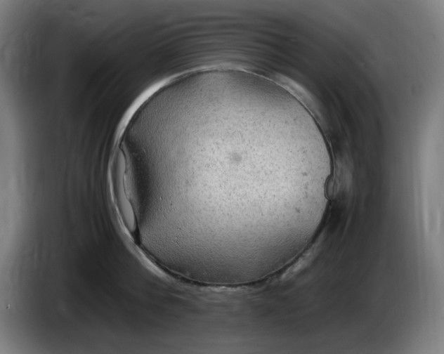 X0000085270812200703301853