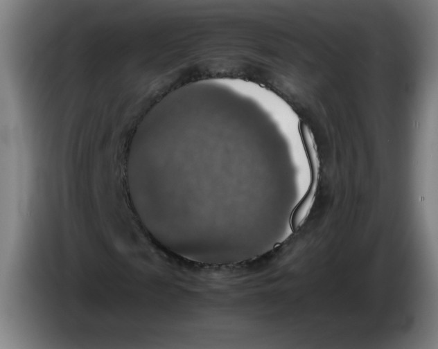 X0000085270817200703301852