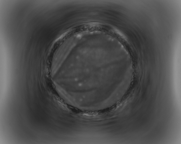 X0000085270823200703301852