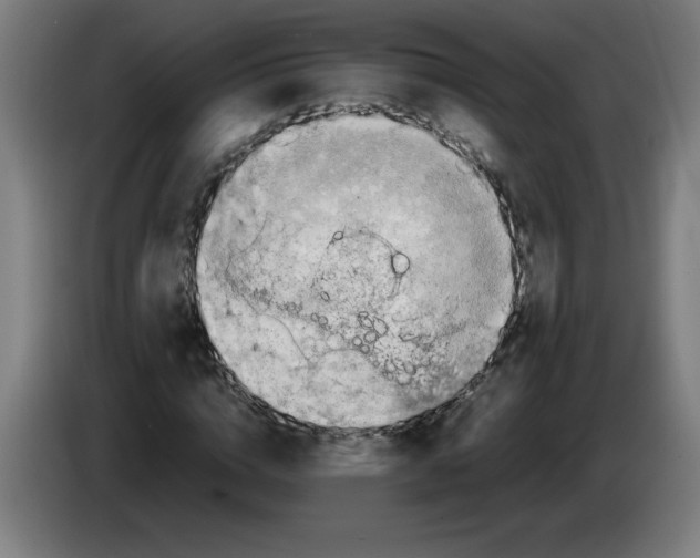 X0000085270824200703301852