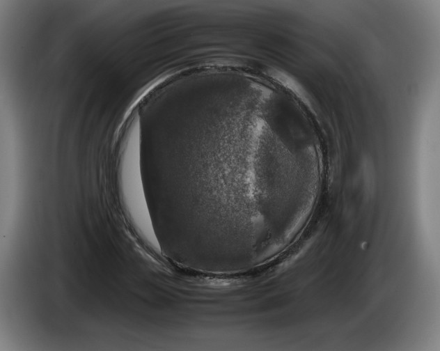 X0000085270829200703301852