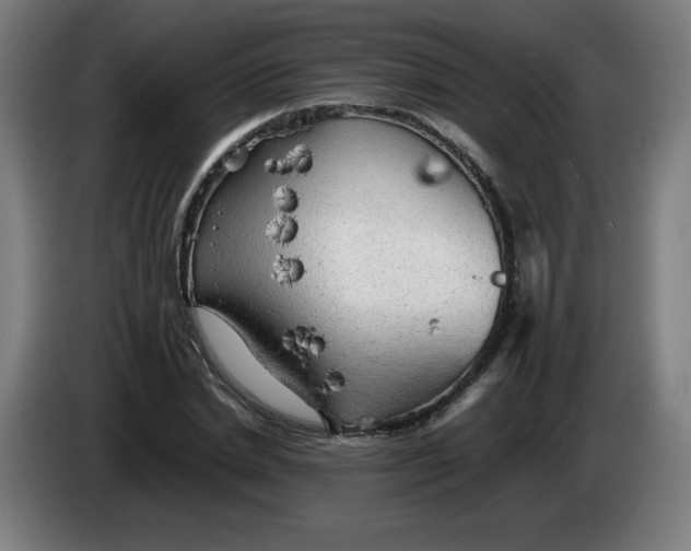 X0000085270830200703301852