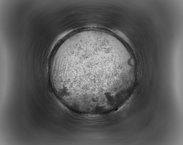 X0000085270831200703301852