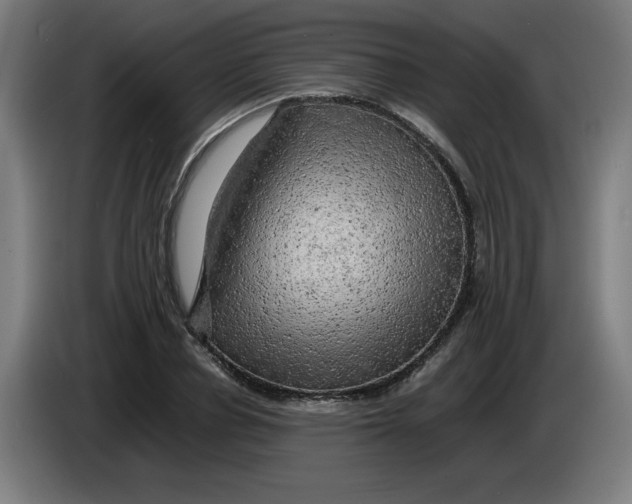 X0000085270834200703301852