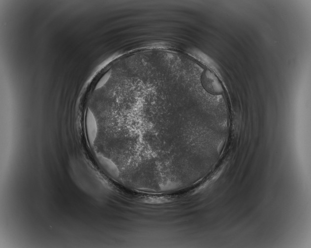 X0000085270835200703301852