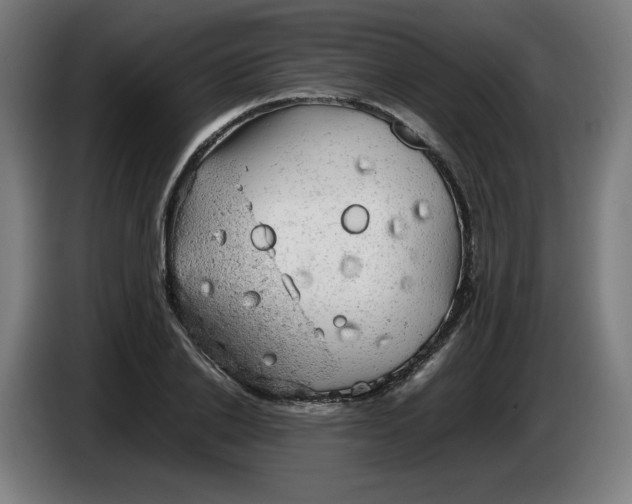 X0000085270838200703301852