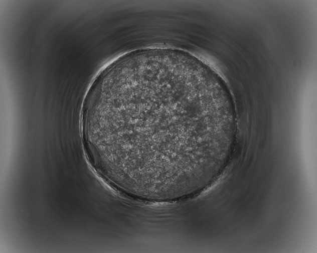 X0000085270839200703301852