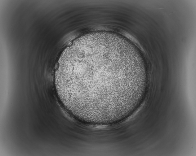 X0000085270841200703301852