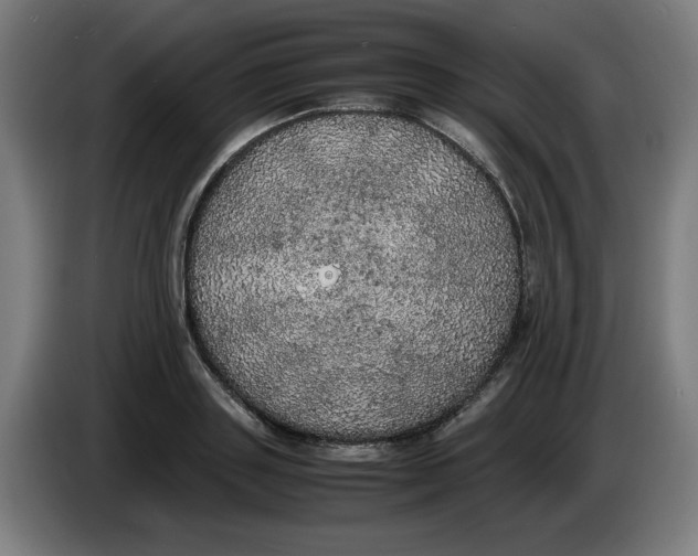 X0000085270843200703301852