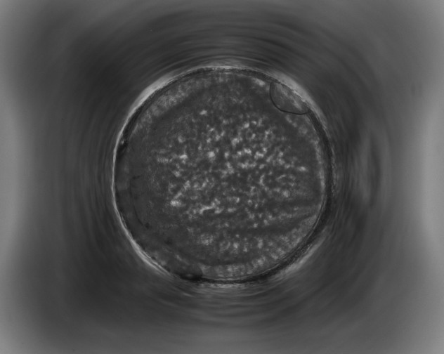 X0000085270845200703301852