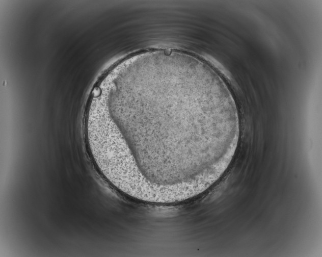 X0000085270848200703301852