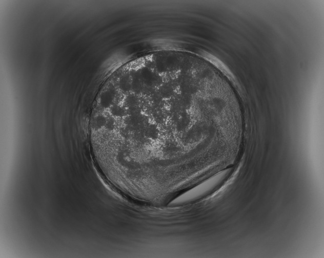 X0000085270849200703301852