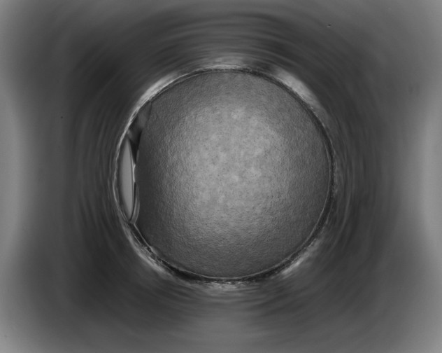 X0000085270850200703301853