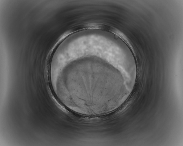 X0000085270851200703301853