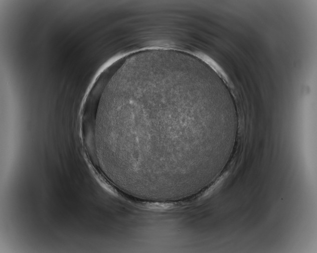 X0000085270854200703301853