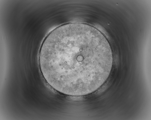 X0000085270856200703301853