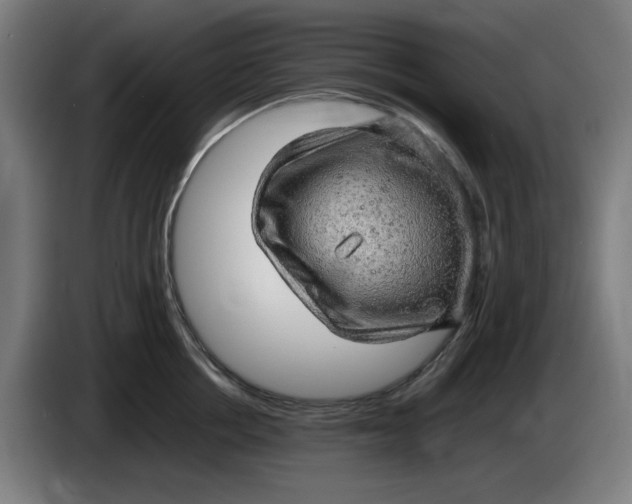 X0000085270858200703301853