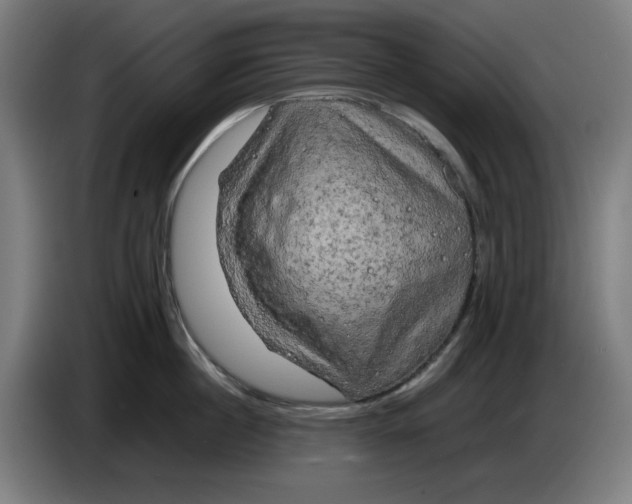 X0000085270860200703301853