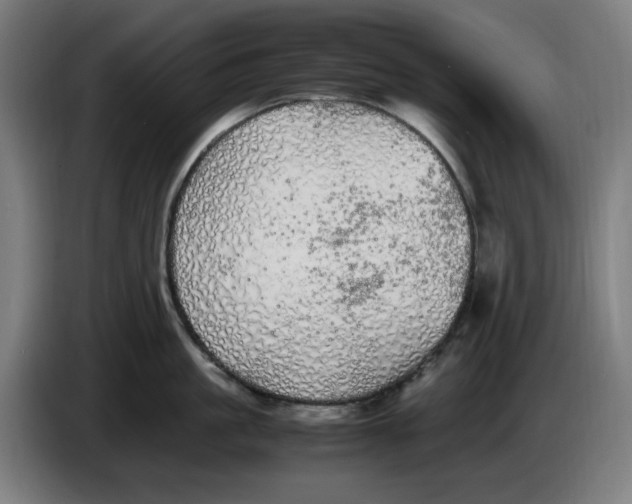 X0000085270861200703301853