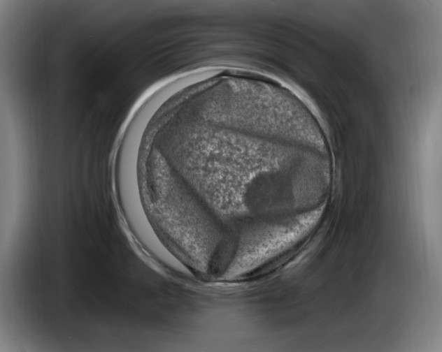 X0000085270862200703301853