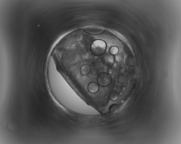 X0000085270863200703301853