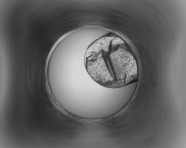 X0000085270864200703301853