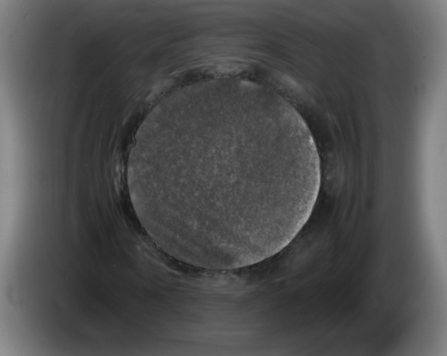 X0000085270866200703301852