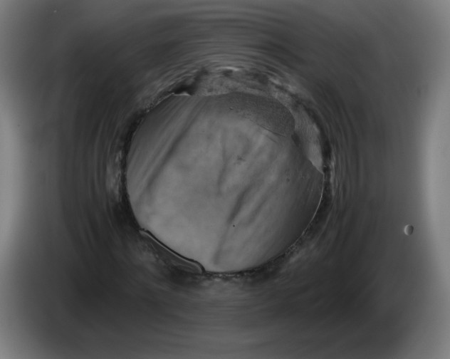 X0000085270868200703301852