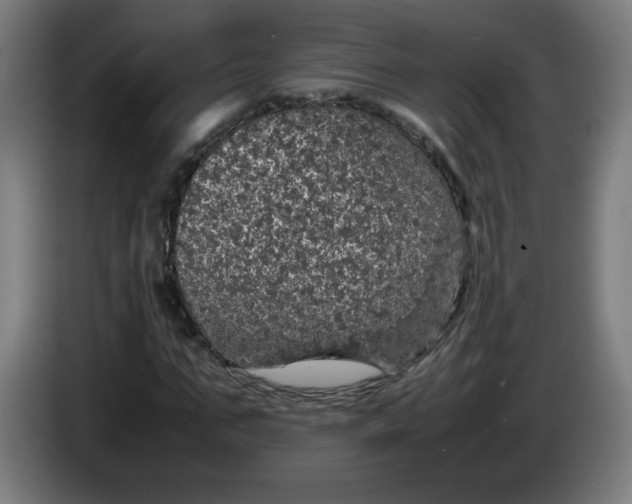 X0000085270871200703301852