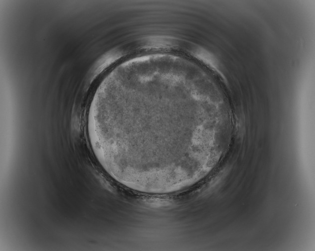 X0000085270874200703301852