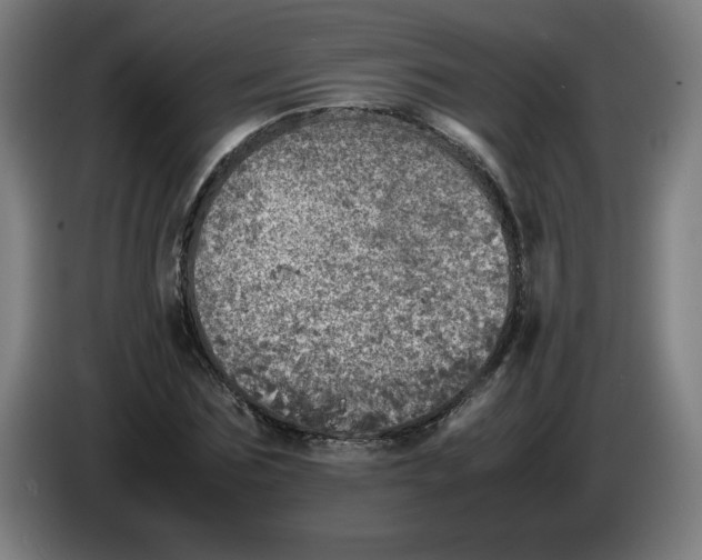 X0000085270875200703301852