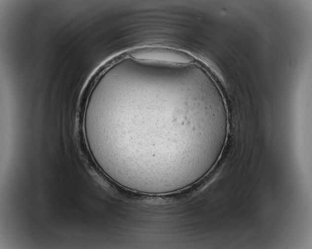 X0000085270880200703301852