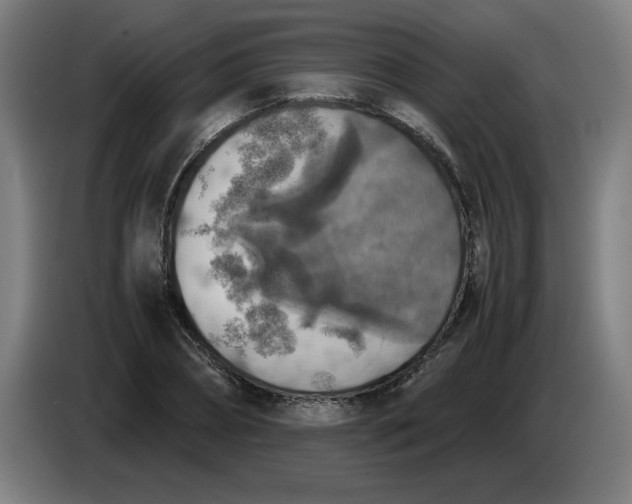 X0000085270882200703301852