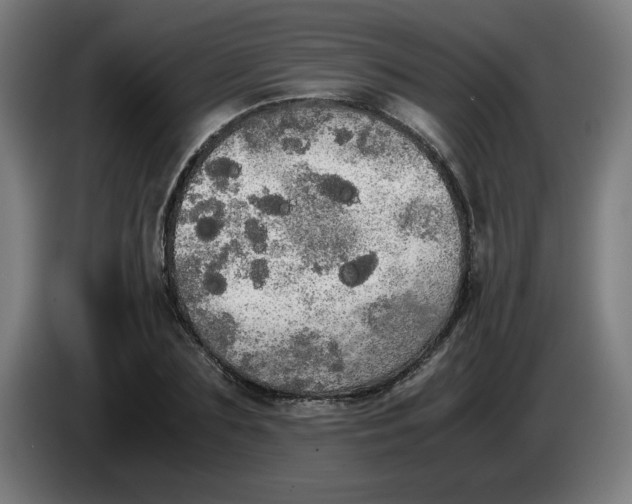 X0000085270883200703301852