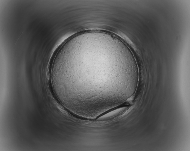 X0000085270885200703301852