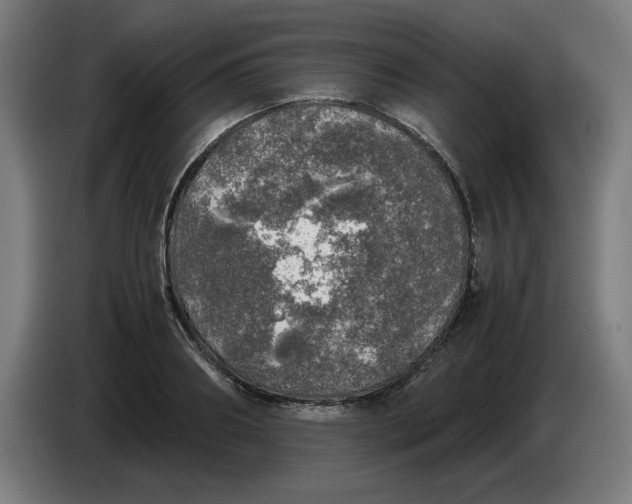 X0000085270890200703301852