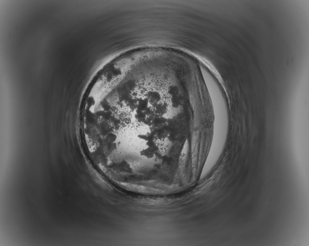 X0000085270895200703301852