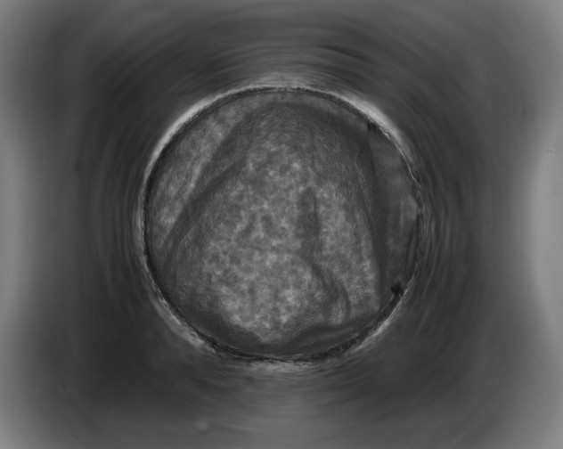 X0000085270896200703301852