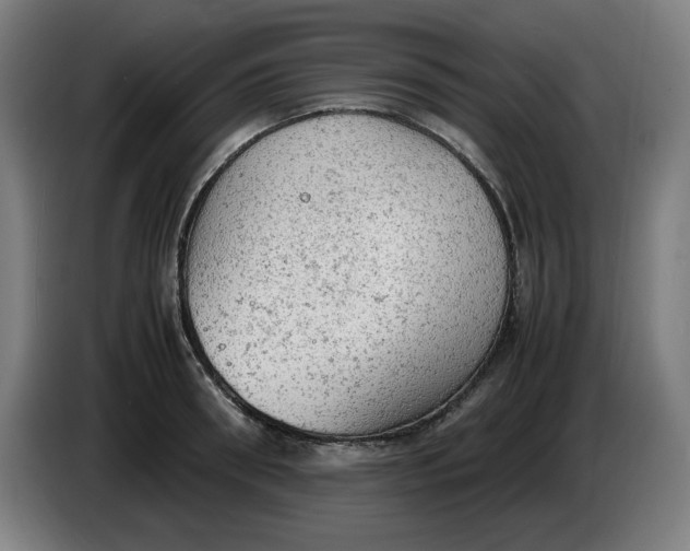 X0000085270898200703301852