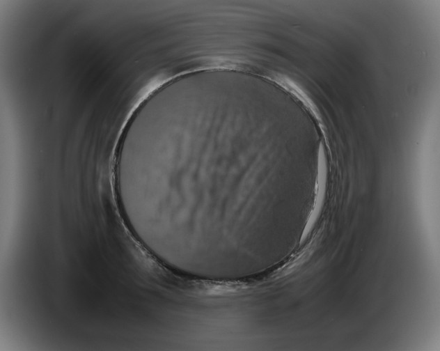 X0000085270899200703301852