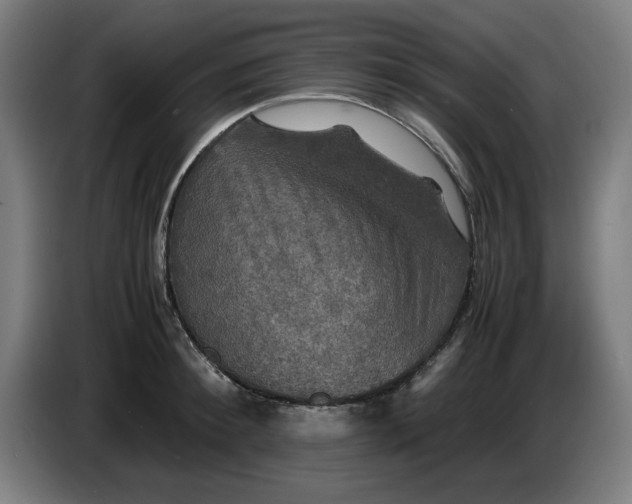 X0000085270900200703301852