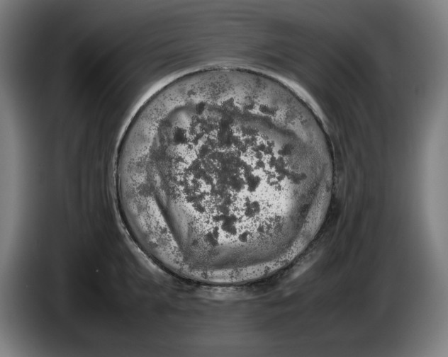 X0000085270903200703301851