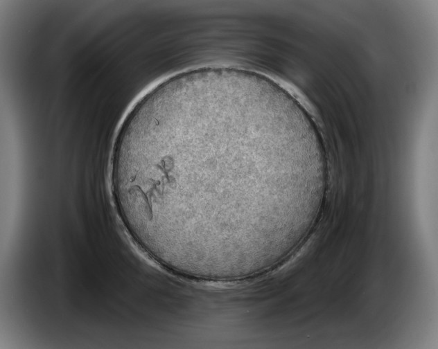 X0000085270904200703301851